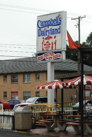 Campbell`s Dairy Land
